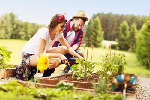 Professional hedge trimming service in Southwark