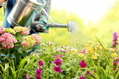 Maintained outdoor living space with lush plants