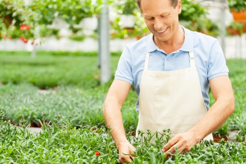 Healthy green lawn maintained by experts in Southwark