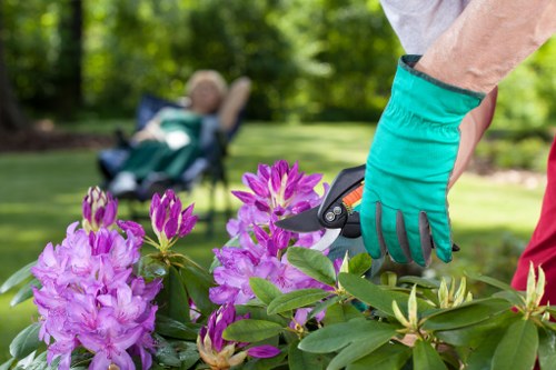Safe tree removal service by professionals in Southwark