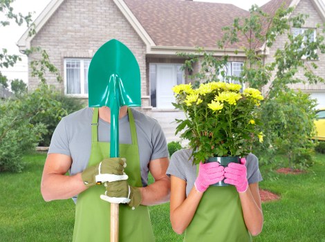Pruning and trimming garden plants in Southwark