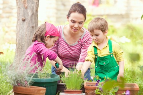 Eco-friendly lawn mowing practices in Southwark